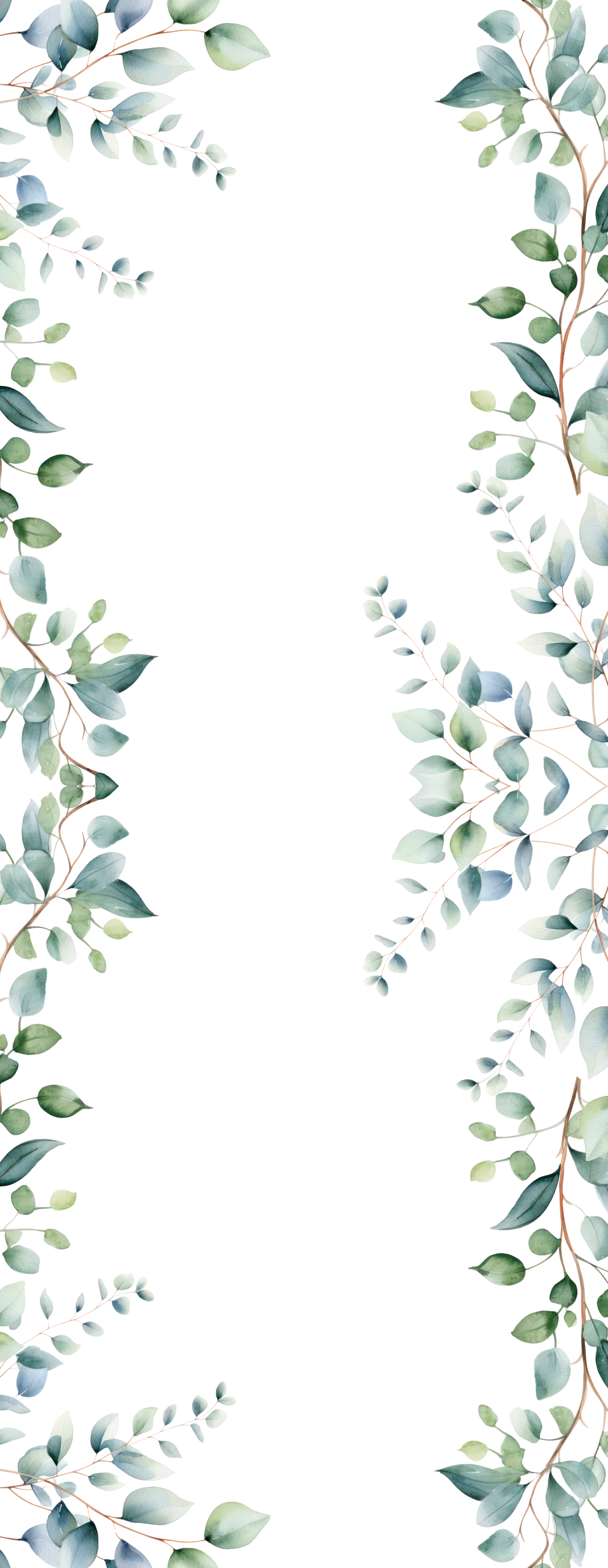 Eucalyptus
