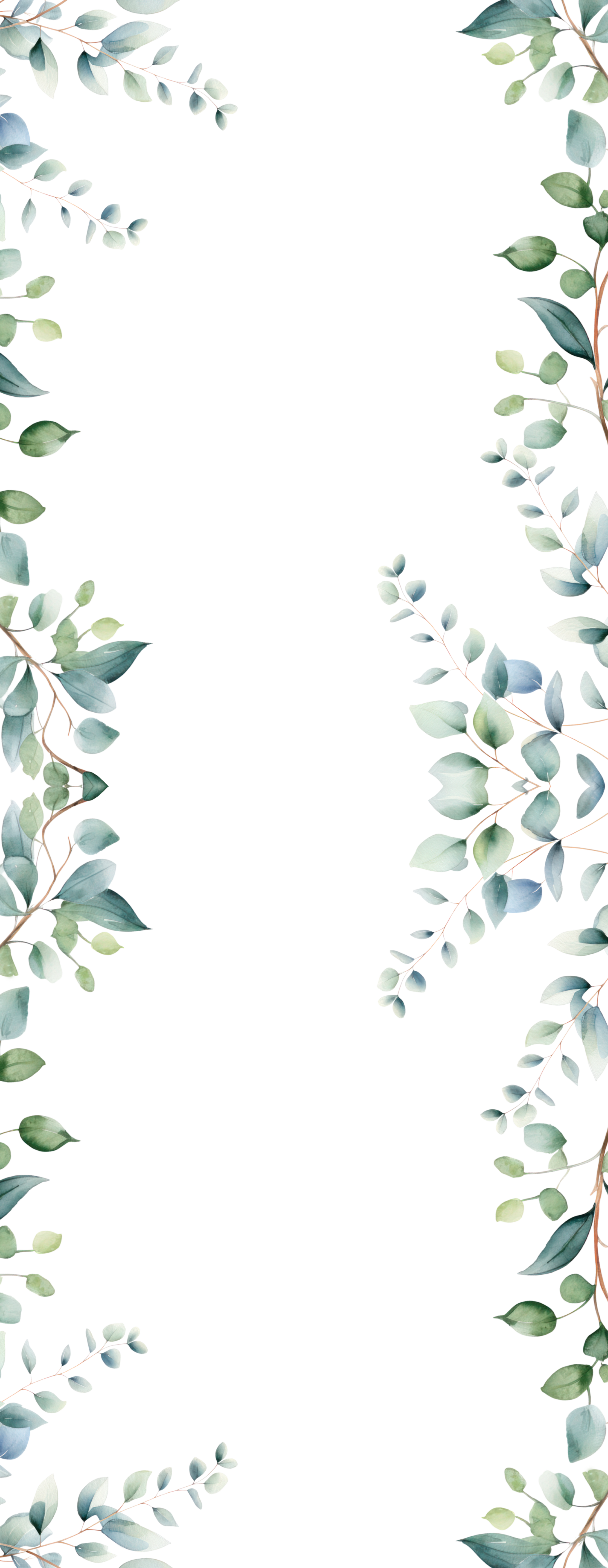 Eucalyptus